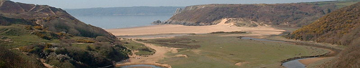 Gower